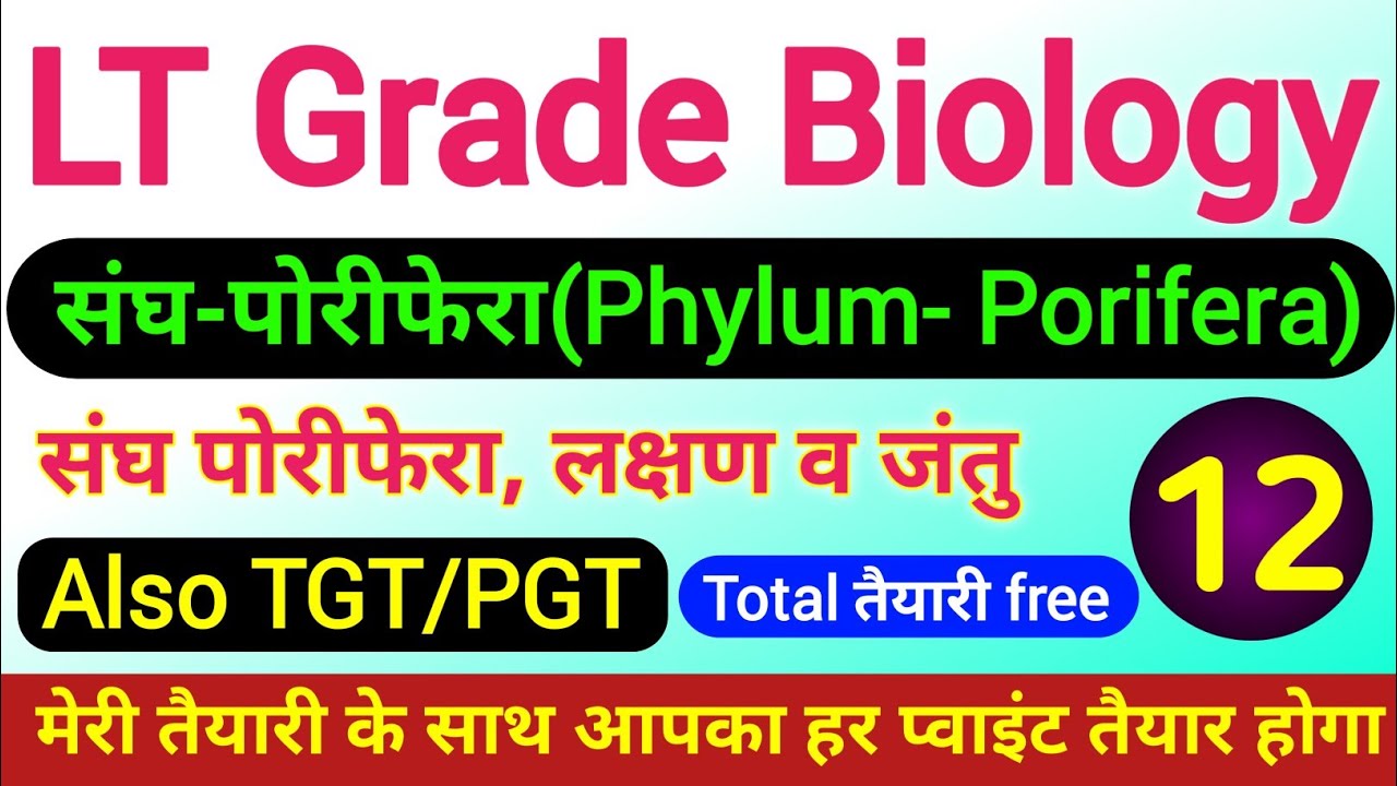 Porifera Phylum | lt grade biology classes | tgt biology online class | tgt pgt Bio | संघ पोरीफेरा