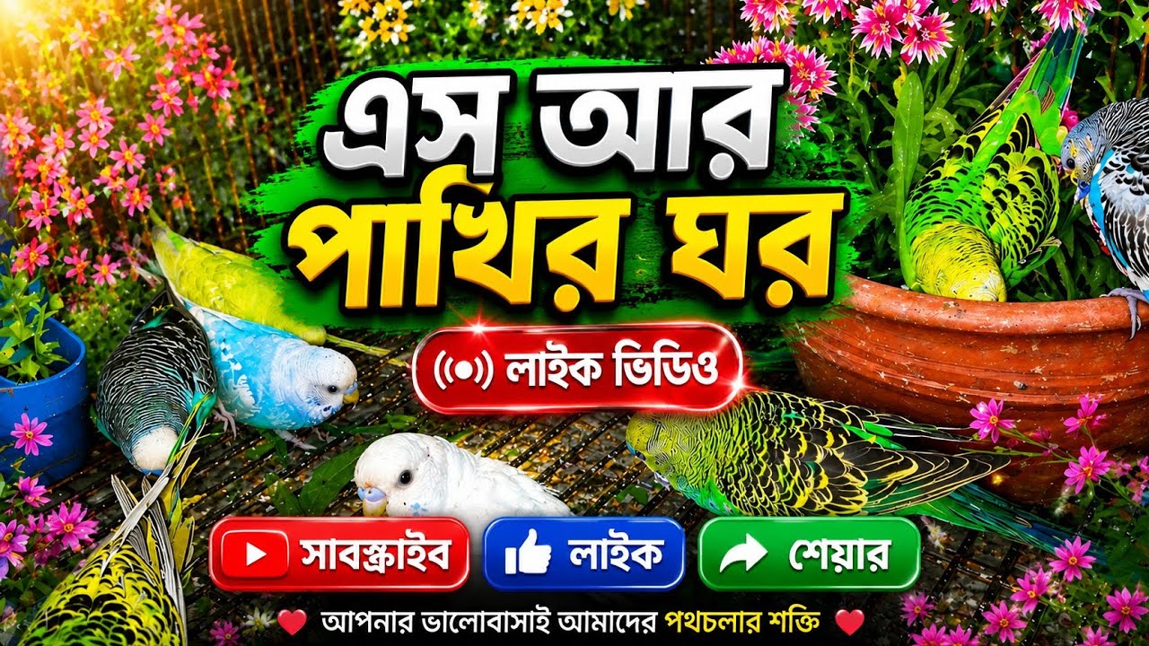 🐦 আমার প্রিয় পাখিদের মিষ্টি মুহূর্ত🥰 আজকের পাখিদের দুষ্টুমি লাইভ #এস_আর_পাখির_ঘড় #পাখির_ভিডিও