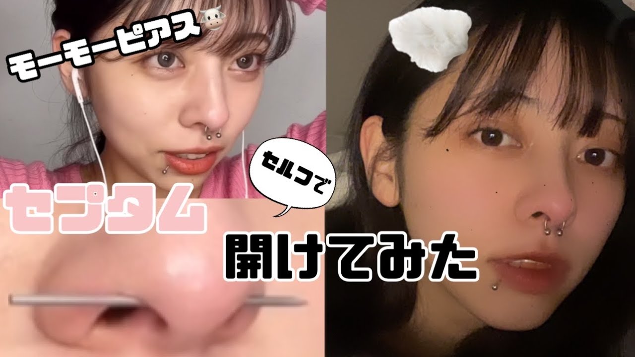 【牛ピアス】セプタムセルフで開けてみた❗️
