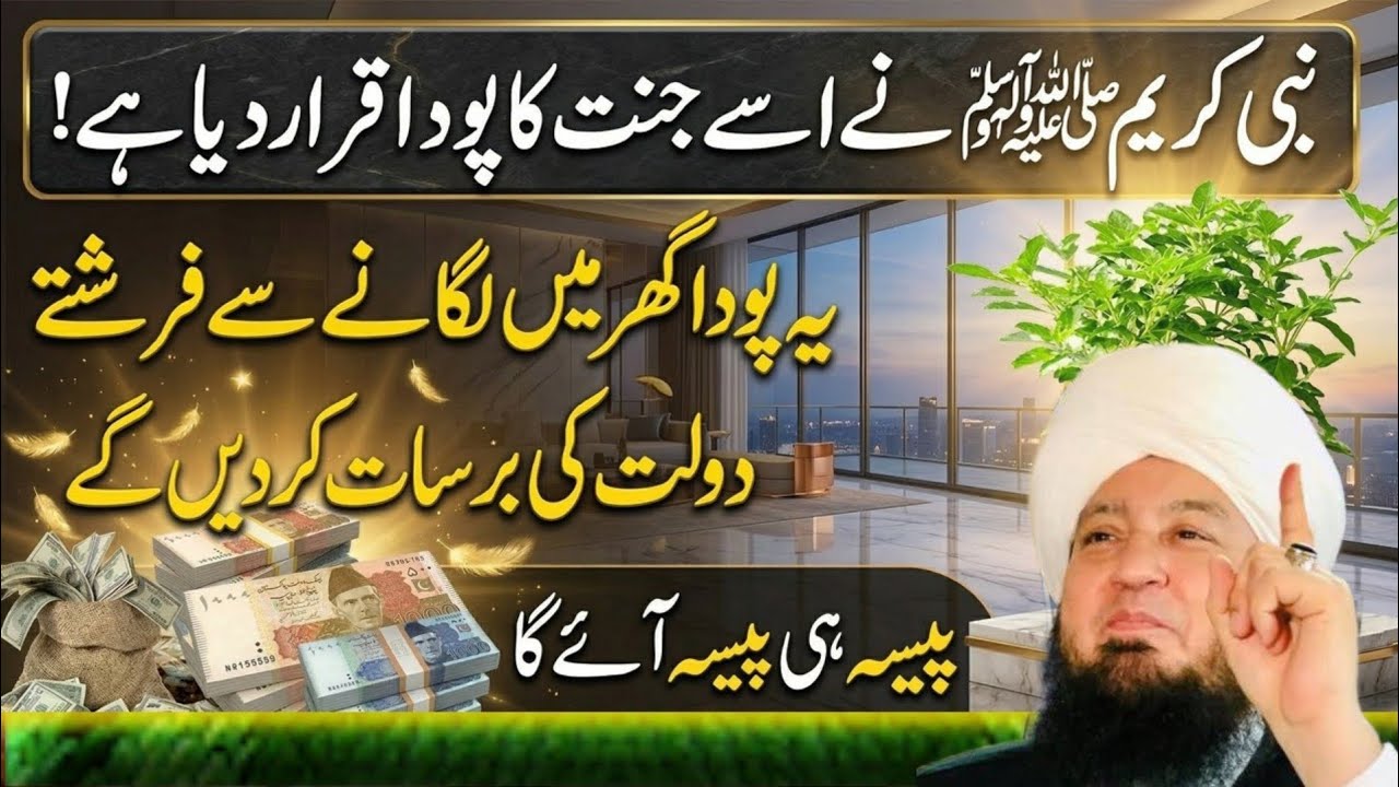 Ye Poda Ghar Mein Lagao Dolat Ki Barsaat Hogi | Dolat Wala Poda | Money Plant Amazing Benefits