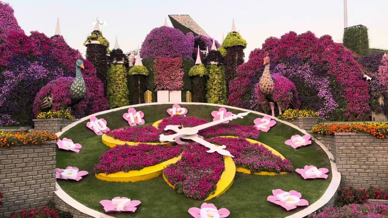 🦄Mishty Exploring Dubai Miracle Garden🤩