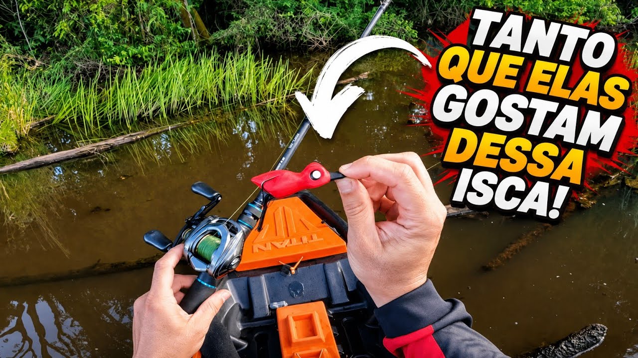 SERIA ESSA A MELHOR PESCARIA DE TRAIRAS DA MINHA VIDA? SÓ PANCADA NO FROG + TESTE CARRETILHA LITE