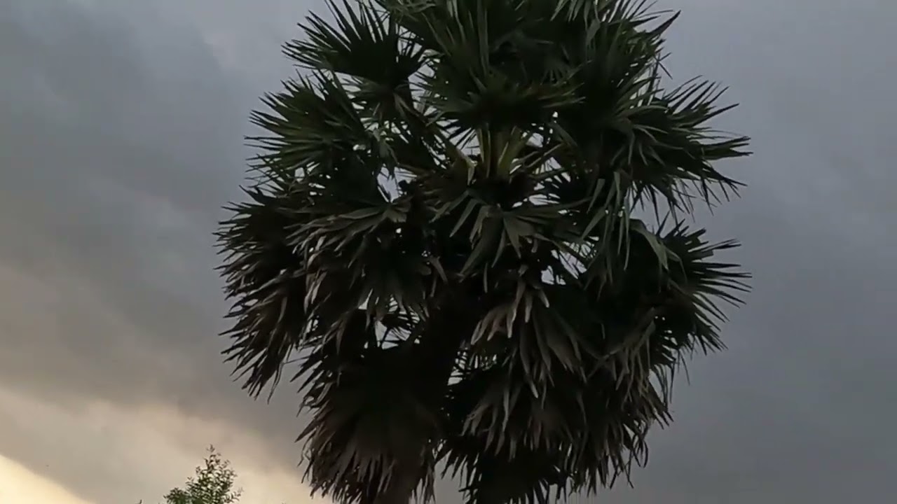 #slingshot EP02 🦅