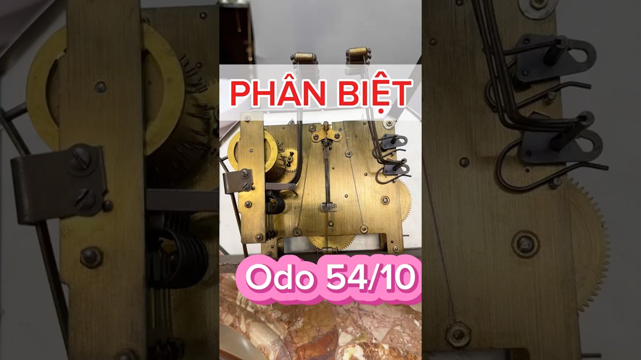 Ph&acirc;n Biệt Đồng Hồ Cổ Odo 54/10 &ndash; Gi&aacute; Trị Sưu Tầm Cao