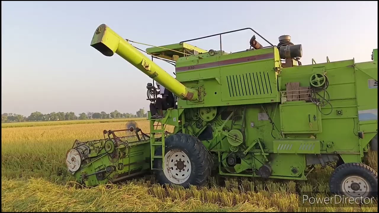 SURINDERA 930 Dx (Self Propelled Multicrop Combine Harvester) On Rice 🌾🍚