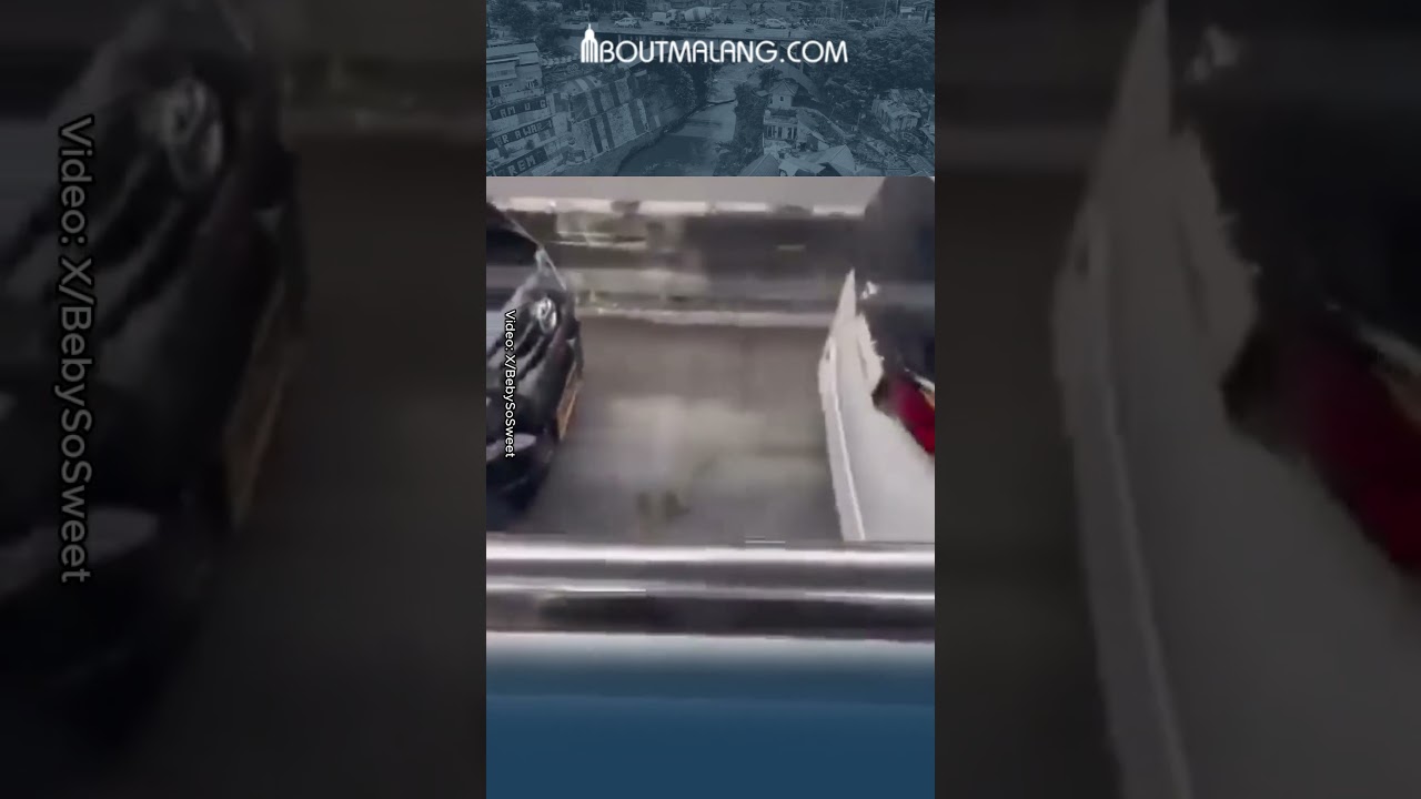 Viral! Video Diduga Kendaraan Pejabat RI 24 Melintas di Perlintasan Busway!