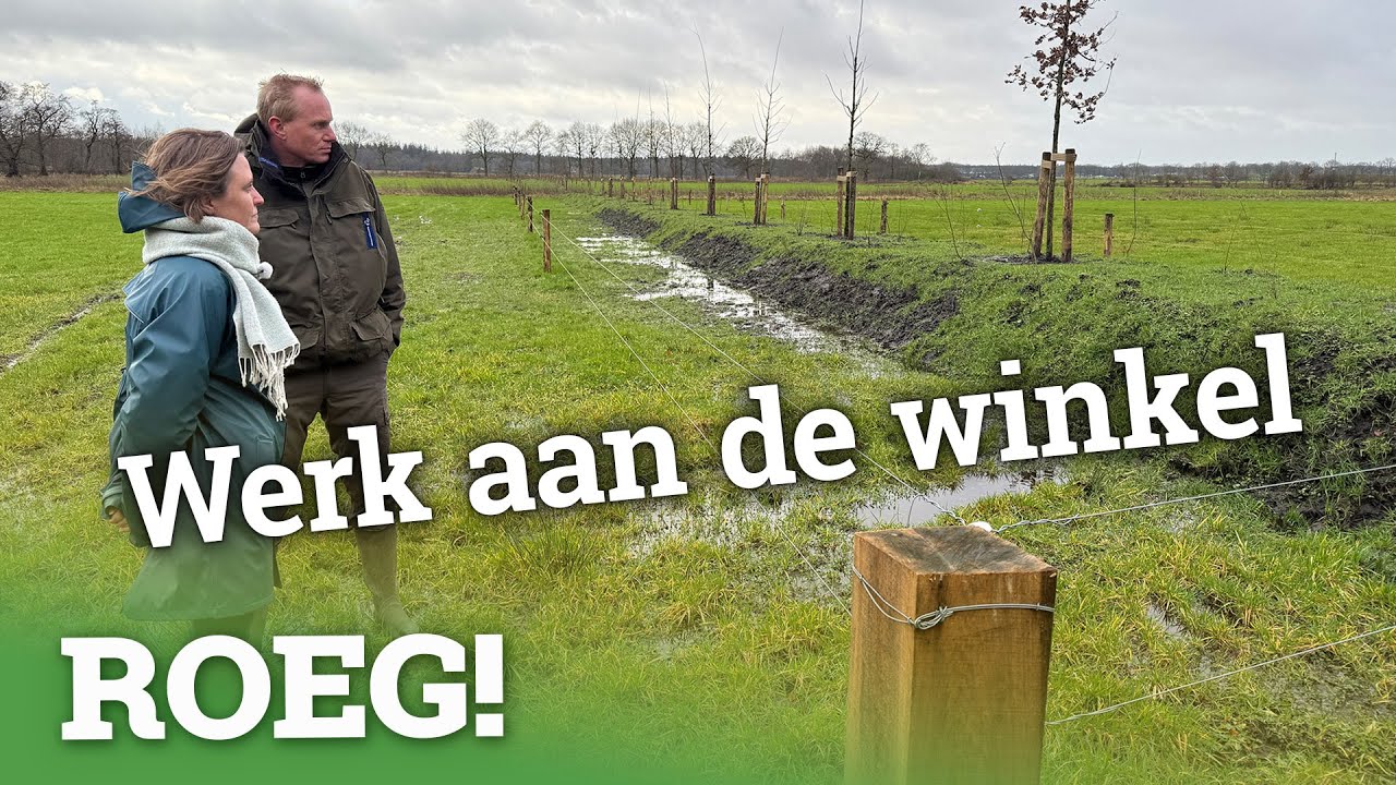 Herstel van het beekdal De Fledders | ROEG! Uitzending