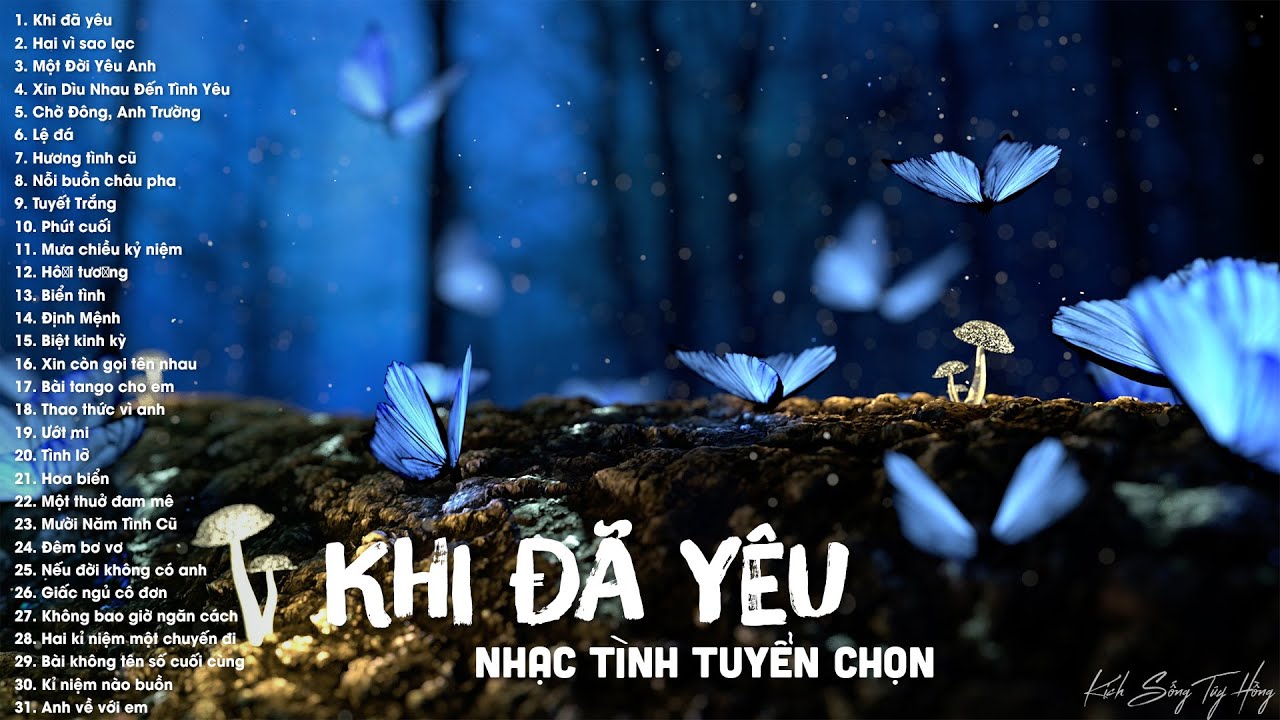 Khi Đã Yêu - 42 Tuyệt Phẩm Trữ Tình Hay Nhất - Nhạc Tình Hải Ngoại Xưa Tuyển Chọn