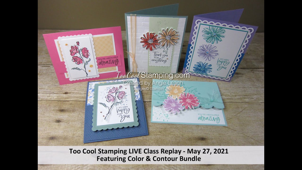Too Cool Stamping LIVE Class Replay   Color & Contour Bundle