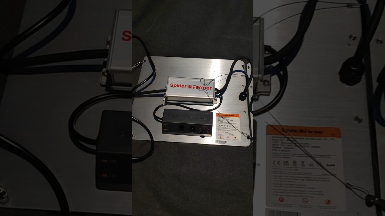 comparing the spider farmer sf1000 with the spider farmer sf1000d both full spectrum. both 100w