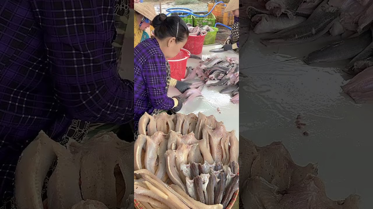 @Thủy Sản Work ✅ Công đoạn Mần Cá Lóc & săn Khô Ngon Đặc Sản Miền Tây #cadacsan #fishcleaning @Cá Lóc Việt