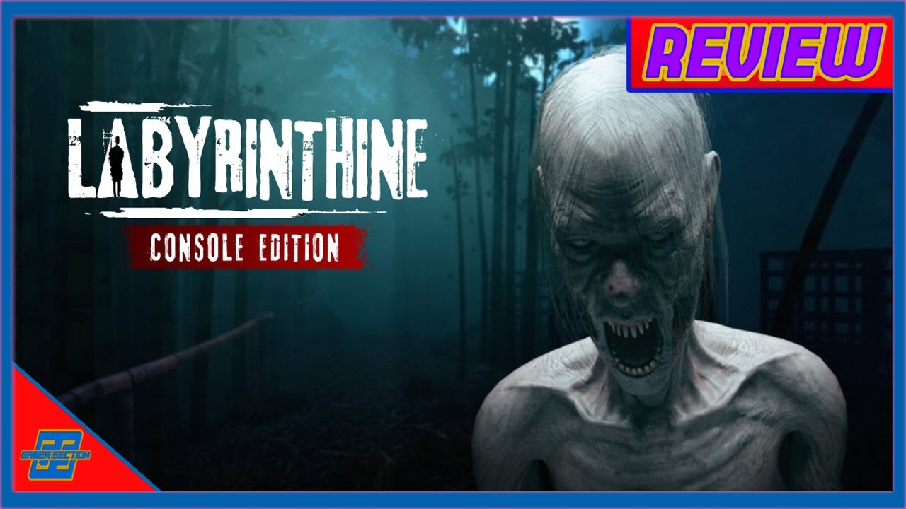 Обзор консольного издания Labyrinthine