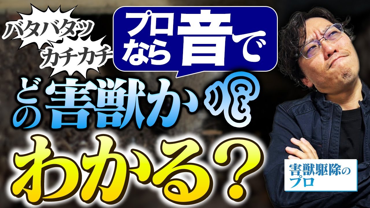 【害獣駆除】音で分かる！？害獣の種類を聞き分けられるか！？