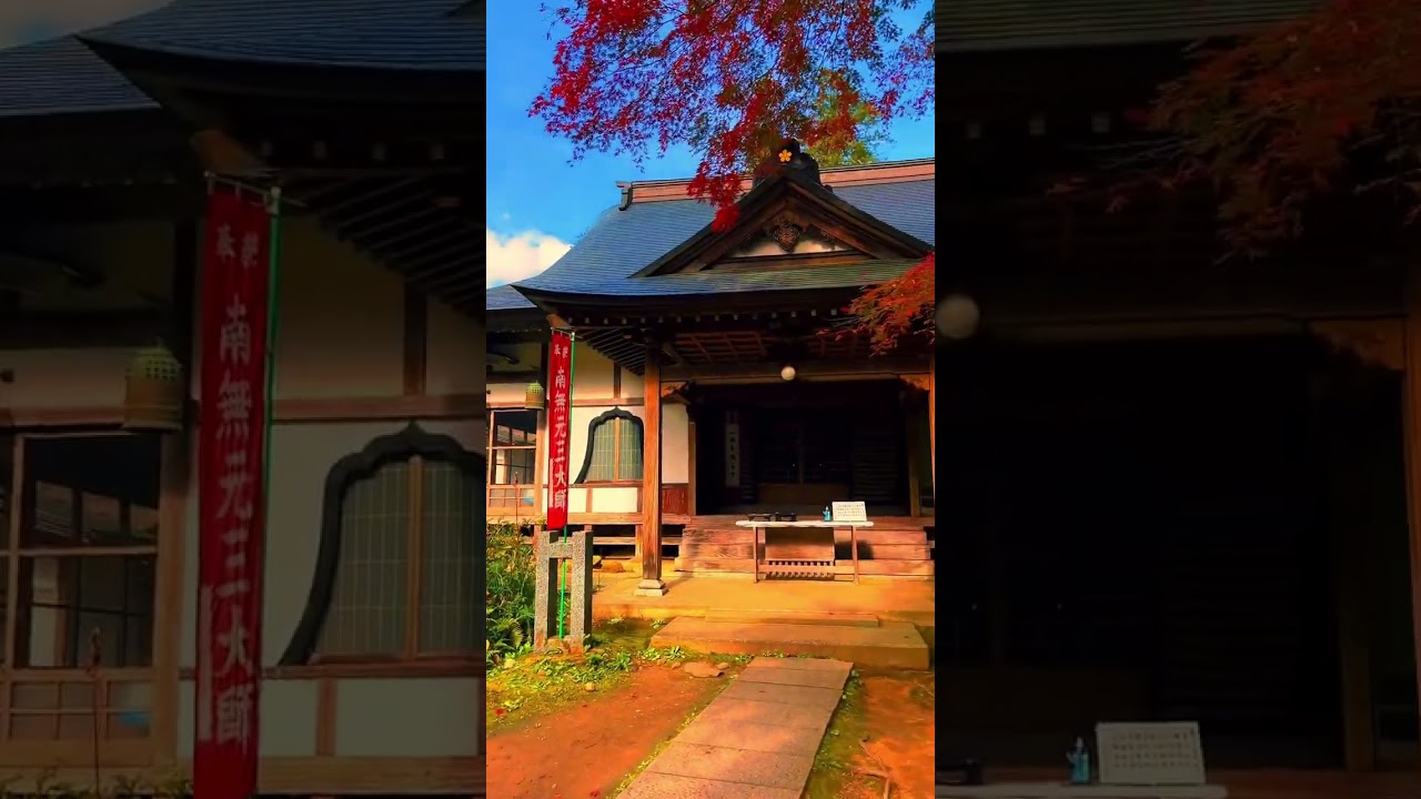 Chusonji Temple Iwate  中尊寺 Autumn leaves at Chusonji Temple in Hiraizumi, Iwate Prefecture🥰⛩