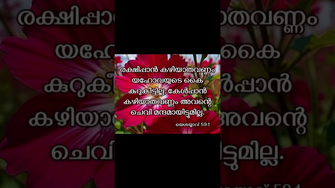 Aradhicheedaam kumbitta#christian devotional song #trending #bible words