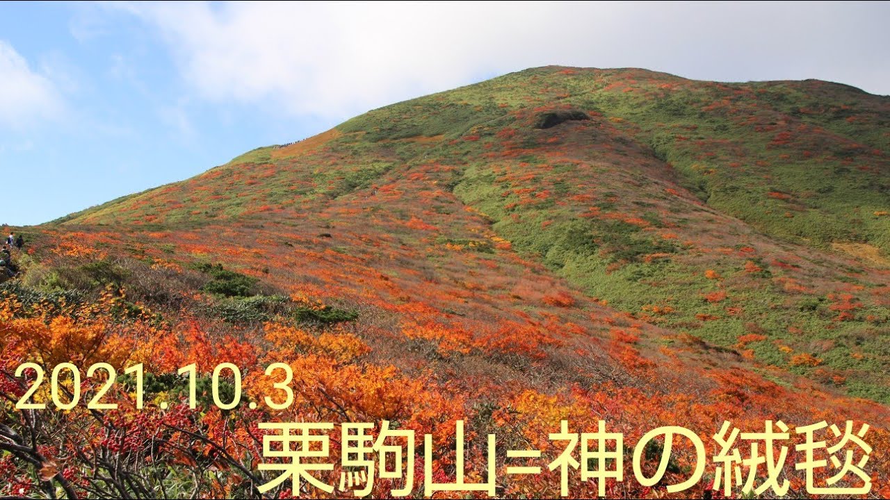 栗駒山=神の絨毯