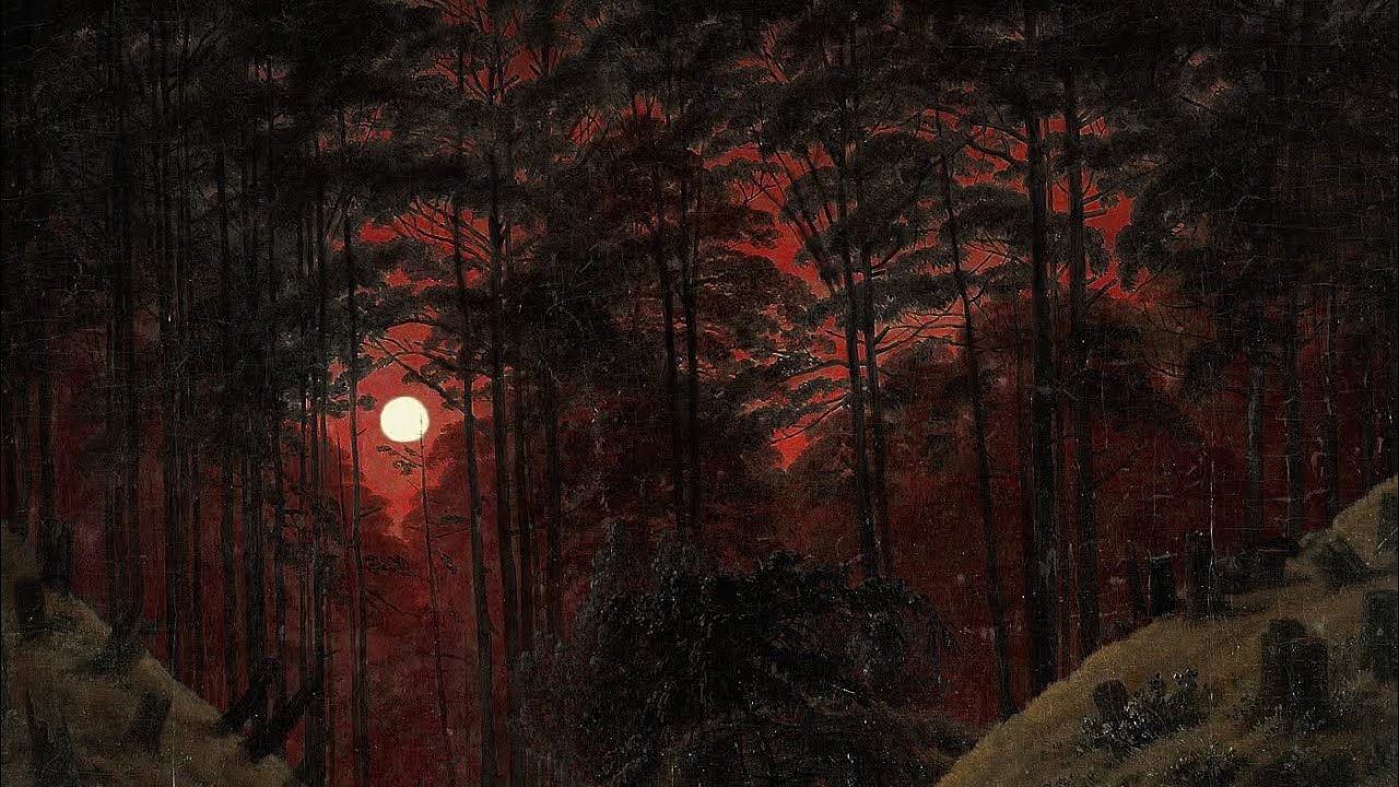 Taro žinutės 🌙 atsivėrė galimybė sustatyti viską į savo vietas ✨🙏🏻
