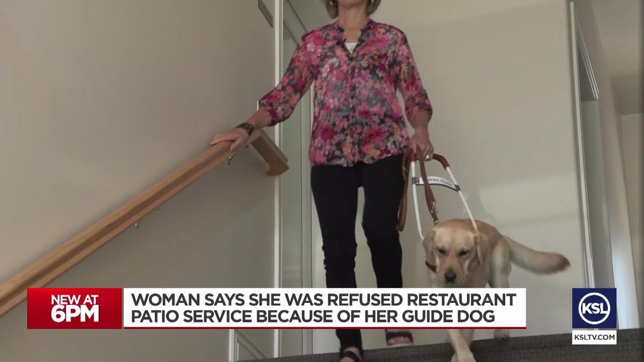 Blind woman says restaurant patio refused service because of her guide dog