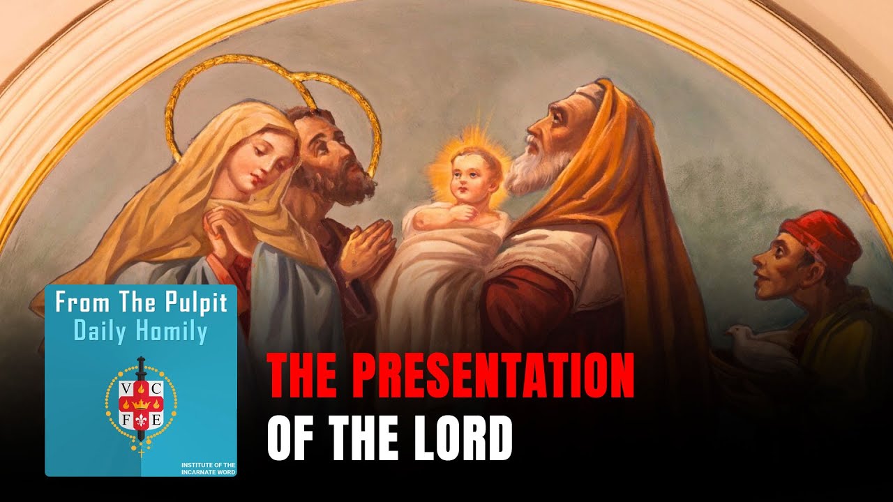 Daily IVE Homilies, December 29th, 2025 - The Presentation of the Lord