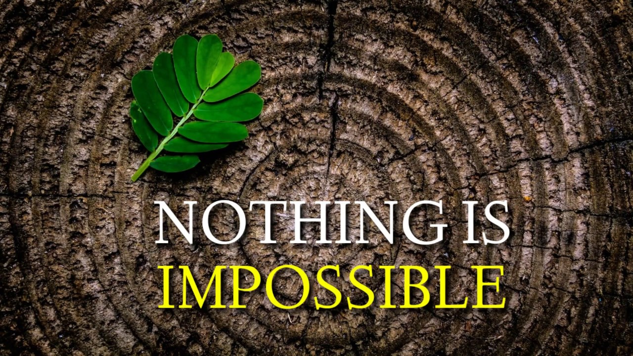 ABRAHAM HICKS - Nothing Is Impossible