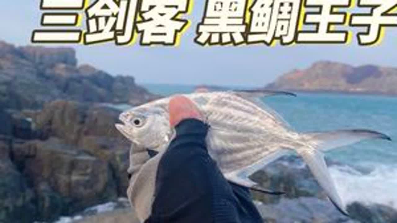 给大家介绍一款主播在用的窝粉！#钓鱼 #海钓 #浮游矶钓 #海钓船钓 #钓鱼人