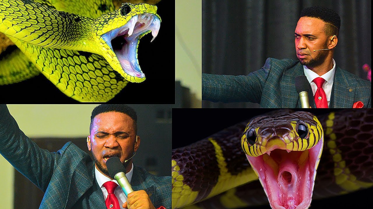 HOW I DEFEATED A PYTHON OF 270 YEARS WITH THE HELP OF THE HOLY SPIRIT - DR. CHRIS OKAFOR!