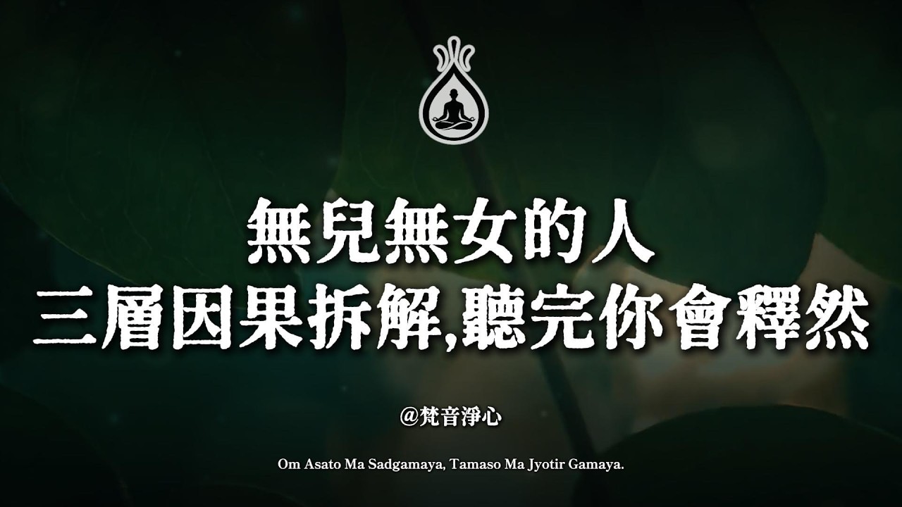 如果你這輩子無兒無女，請一定聽完這段話，其实你的福報比誰都完整 #無兒無女 #福報不散 #佛學智慧 #因果業力 #修行 #心靈成長 #獨處的力量 #圓滿人生 #放下執著 #丁克 #晚年幸福 #人生智慧