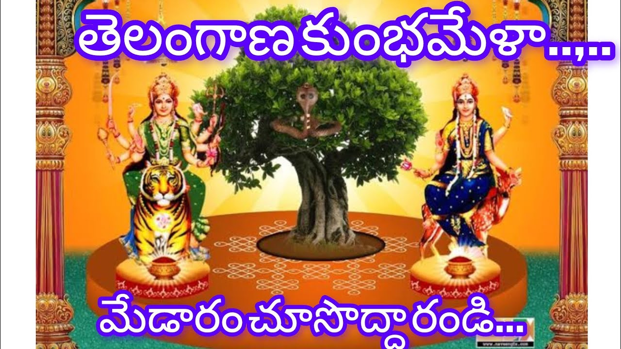 మేడారం వెళ్ళాము... సమ్మక్క,సారక్క తల్లుల దర్శనం జరిగింది..