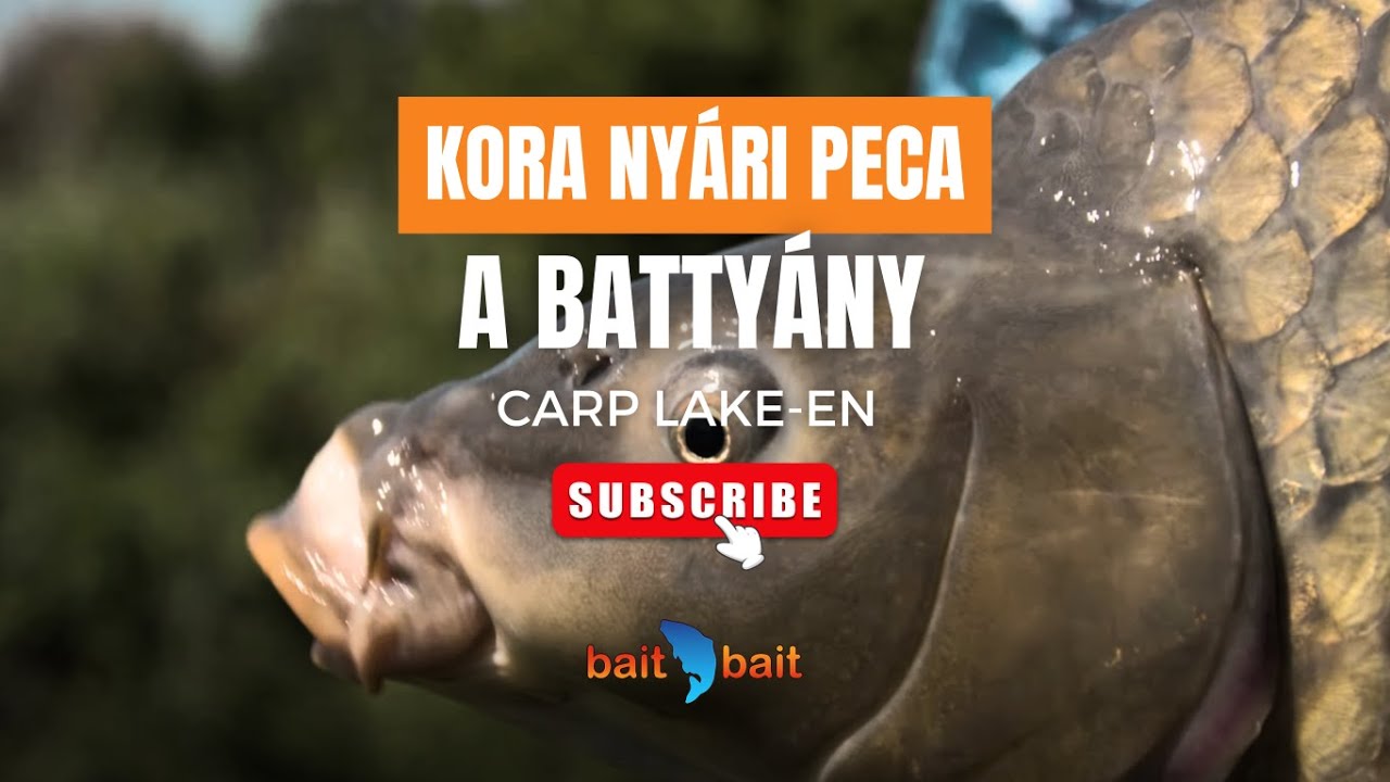 Kora nyári peca a Battyán Carp Lake-en