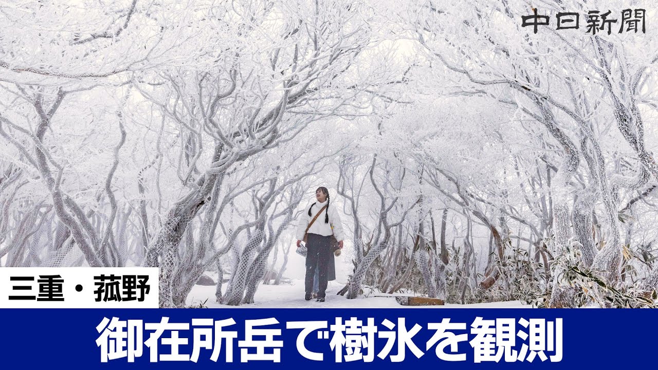 【4K】山頂に広がる銀世界　御在所岳で樹氷　三重・菰野
