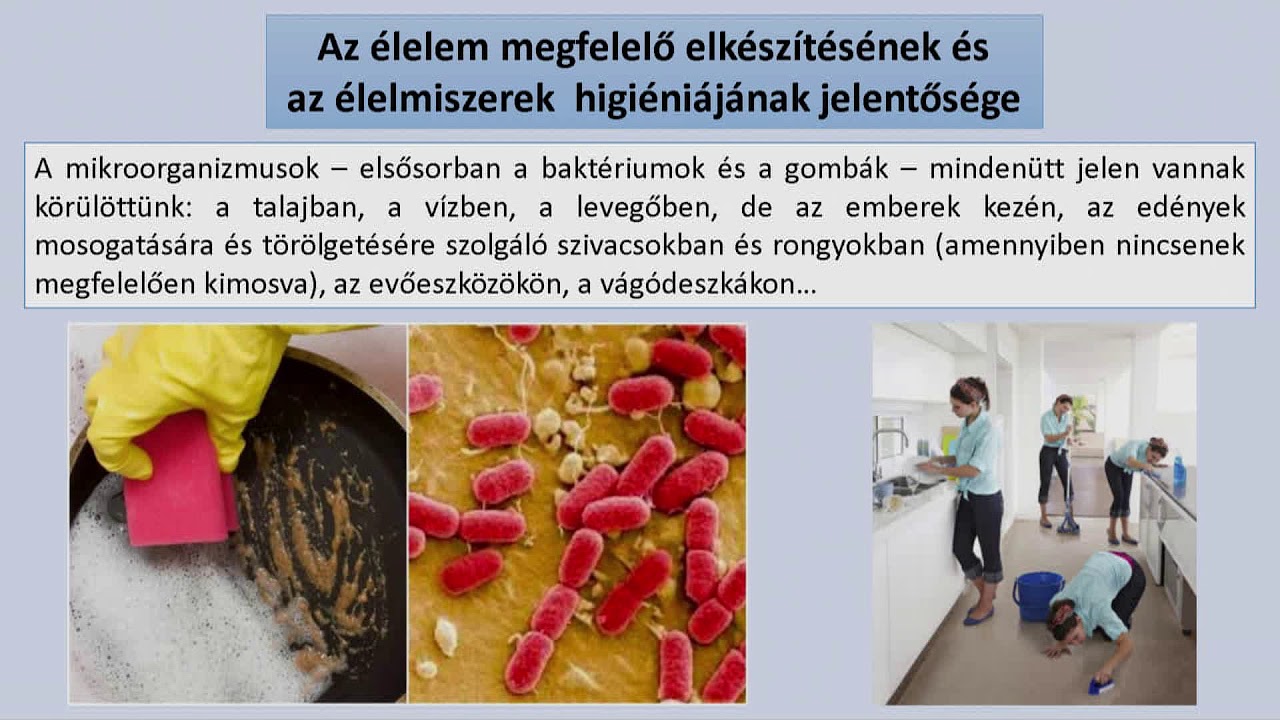 Az élelmiszerek megfelelő tárolásának, elkészítésének és higiéniájának jelentősége. Az ételmérgezés.