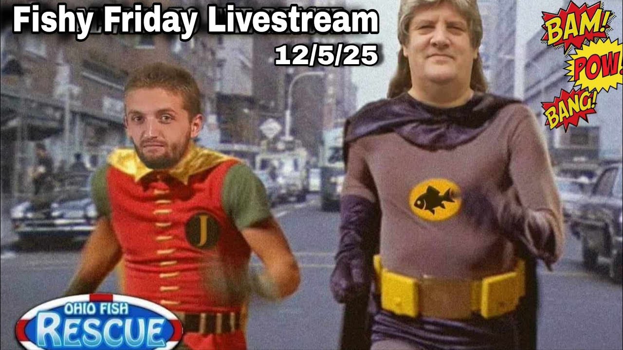 Stay Fishy Friday livestream  12/5/25