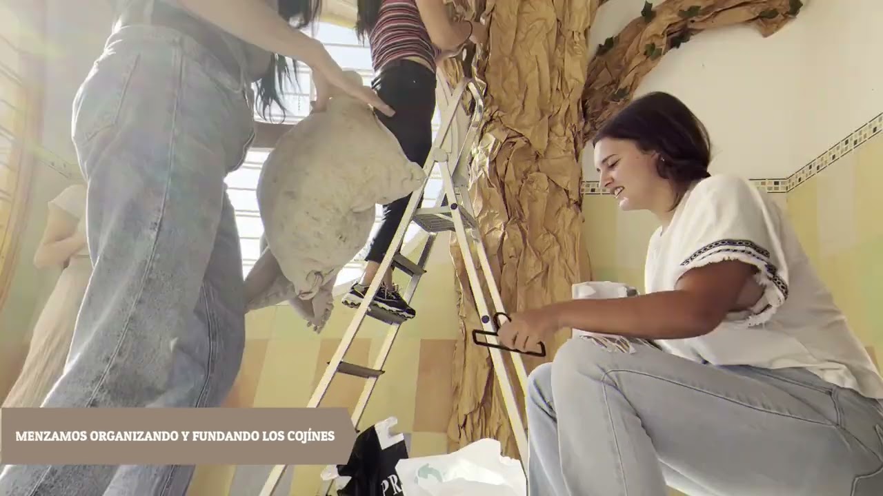 VIDEO ORGANIZACIÓN 1
