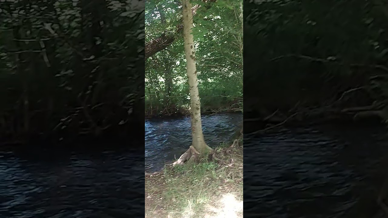 La Sosta Verde spettacolo....Letino prov. Ce