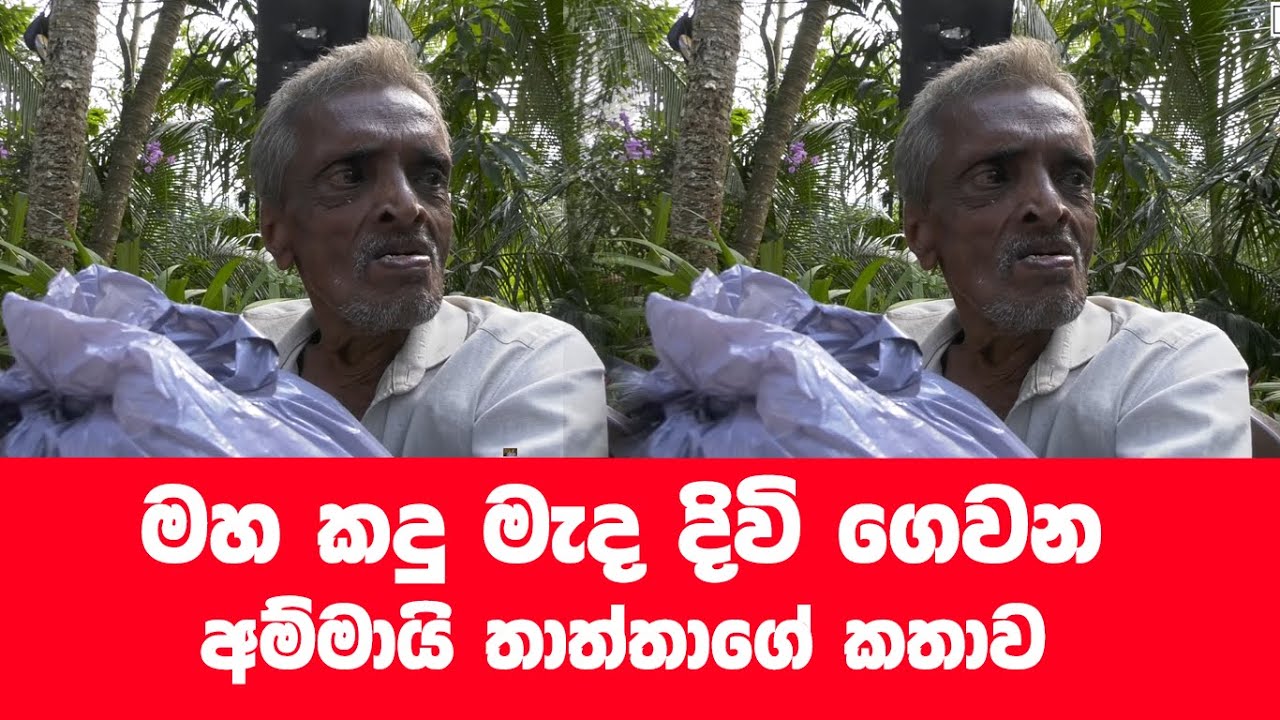 මහ වන මැද තනි වු යුවලකගේ කතාව