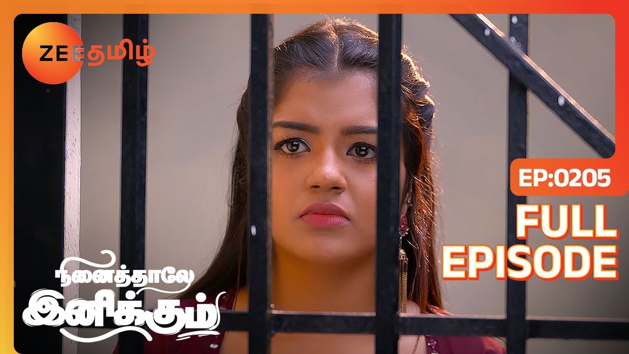 இதுக்கு காரணம் பொம்மியா? இவ Jailக்கு போக பொம்மி எப்டி காரணம் ஆவ - Full Ep - 205 - Ninaithale Inikkum