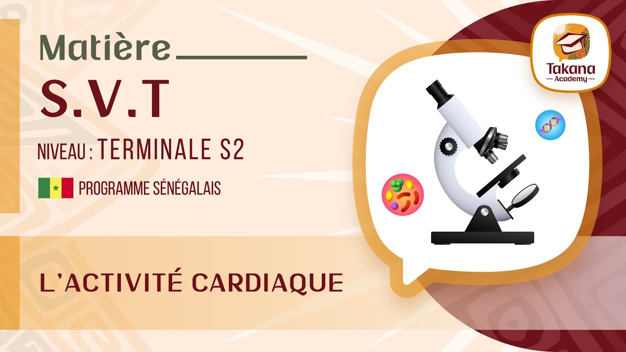 SVT || Activité cardiaque – pression artérielle || Terminal S2