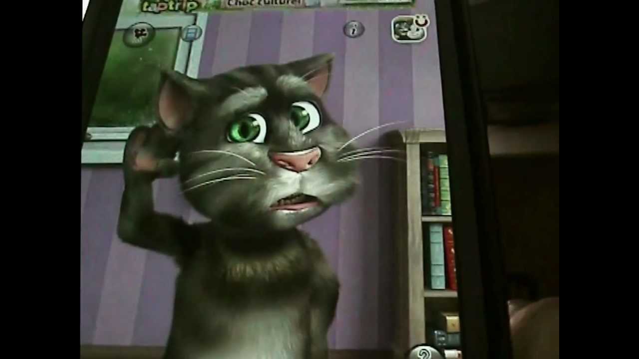 Samsung Galaxy S3 Talking Tom2.