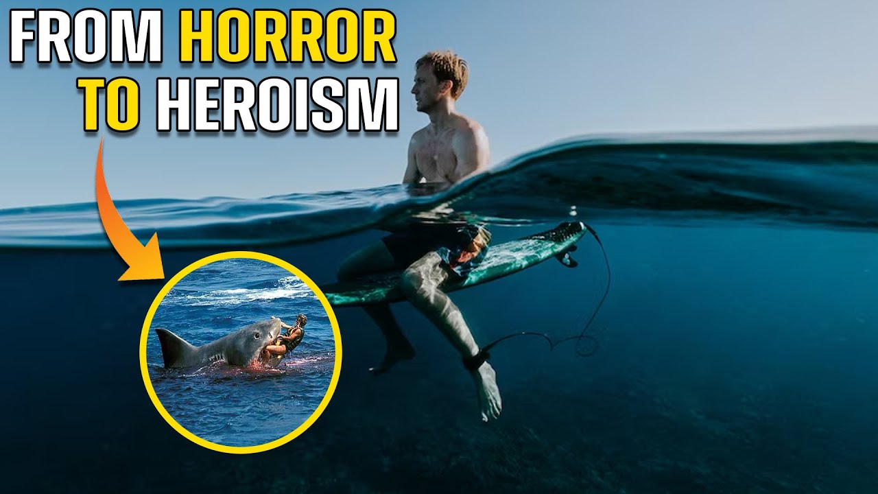 BRETT CONNELLAN DEATH FIGHT WITH SHARK || SHARK ATTACK CLIPS