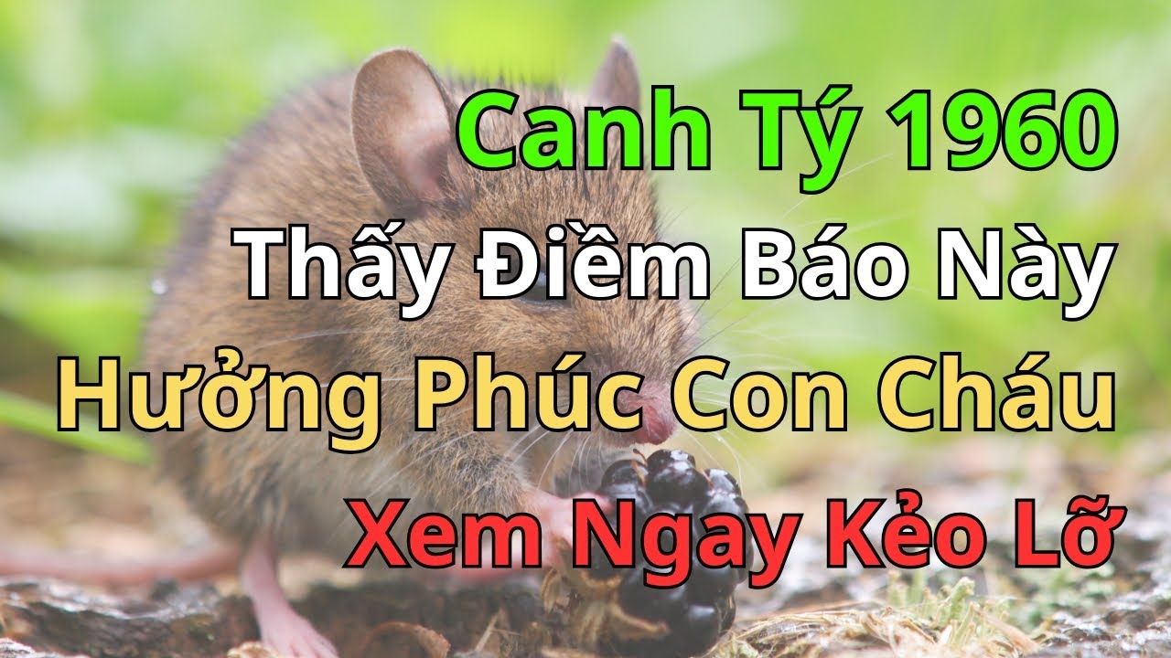 DUYÊN TRỜI ĐỊNH: Canh Tý 1960 Nào Thấy Được "Cơ Hội Ẩn" Này Là Hưởng Phúc Con Cháu Trọn Đời | Tử Vi