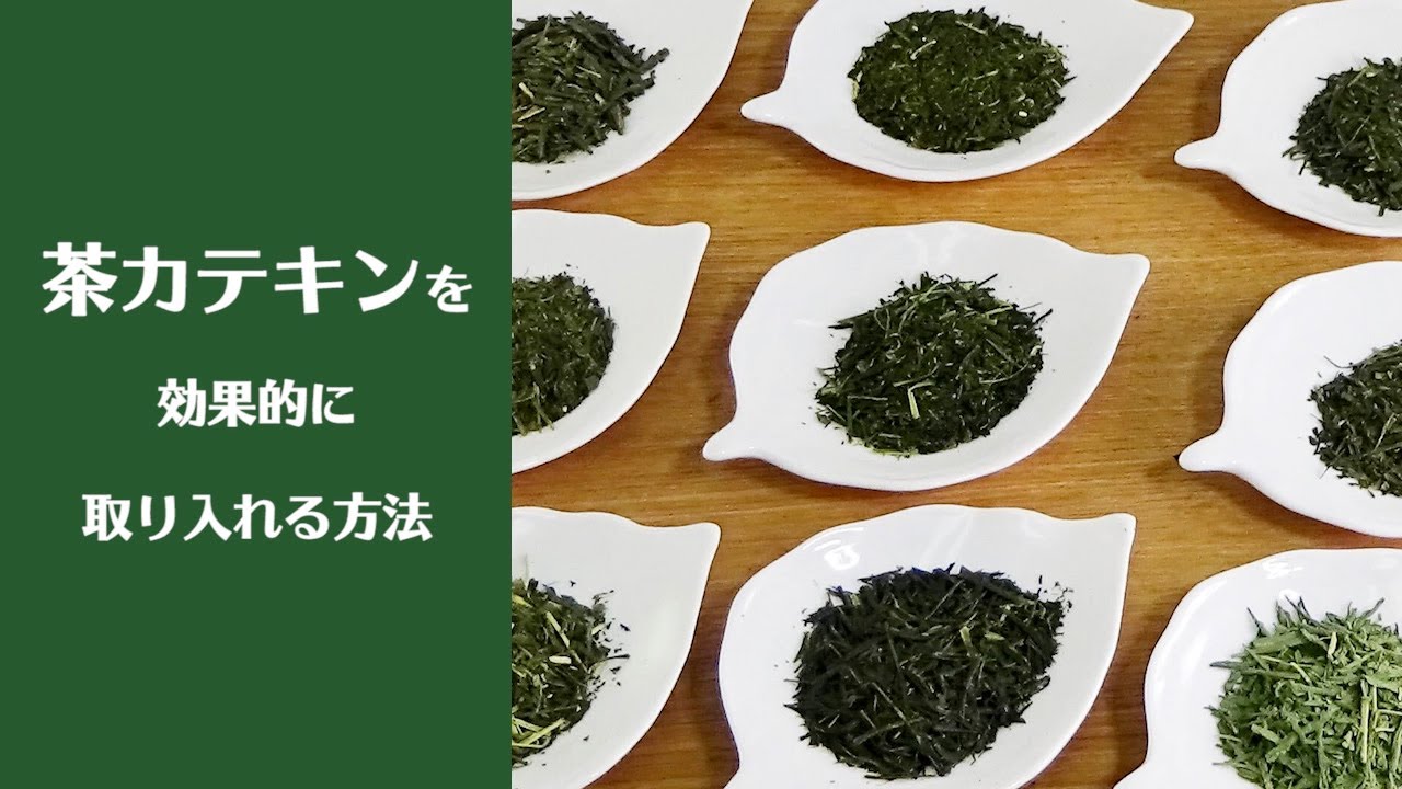 茶カテキンを効率的に取り入れる方法｜伊藤園｜OCHAプロジェクト｜食欲の秋