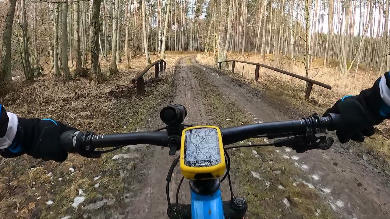 Bory Tucholskie: nad Rybno