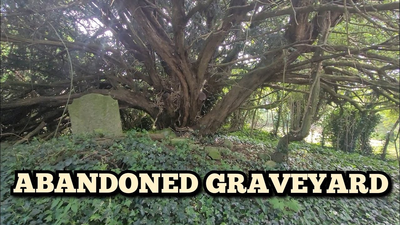 Abandoned Graveyard