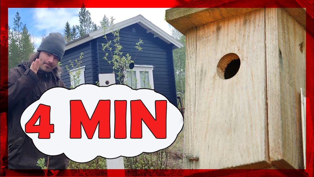 L&auml;r dig bygga en f&aring;gelholk p&aring; fyra minuter