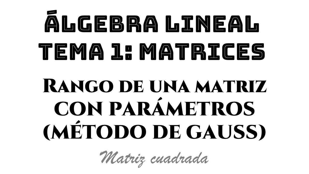 rango de una matriz cuadrada con par&aacute;metros || &aacute;lgebra lineal tema 1 matrices ejemplo 12