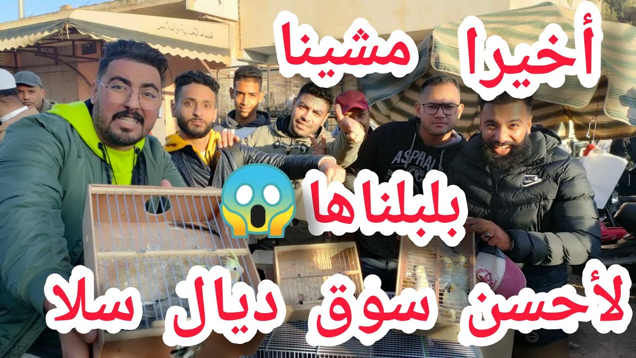 أحسن صوق الطيور ف سلا 😱 بلبلناهاااا 😍 ... اتمنة الطيور جد مناسبة 😍