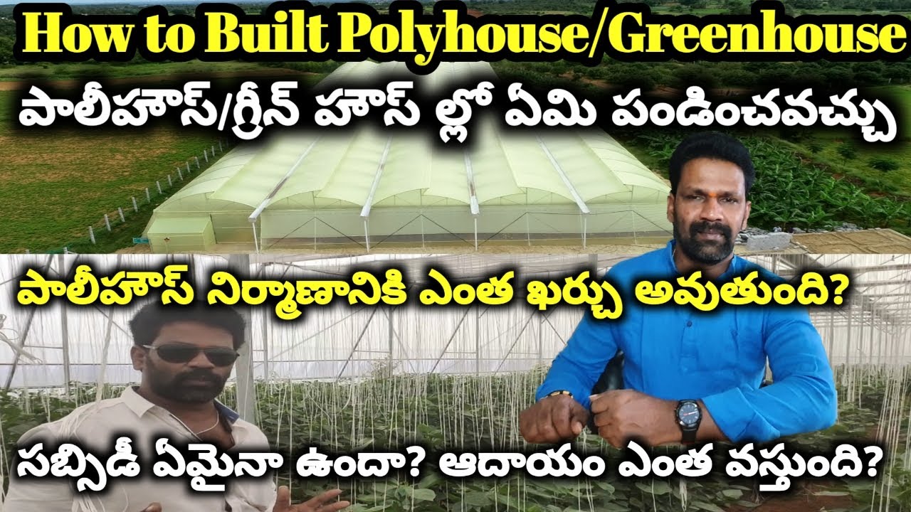 How to build Poly House or Green House.పాలీ హౌస్తో ఎంత సంపాదించవచ్చు?by Viral Vogue Telugu.