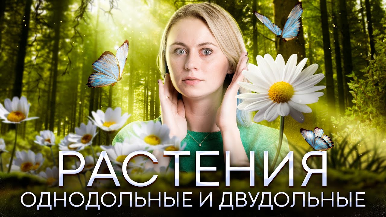 Биология ЕГЭ - Однодольные и двудольные растения