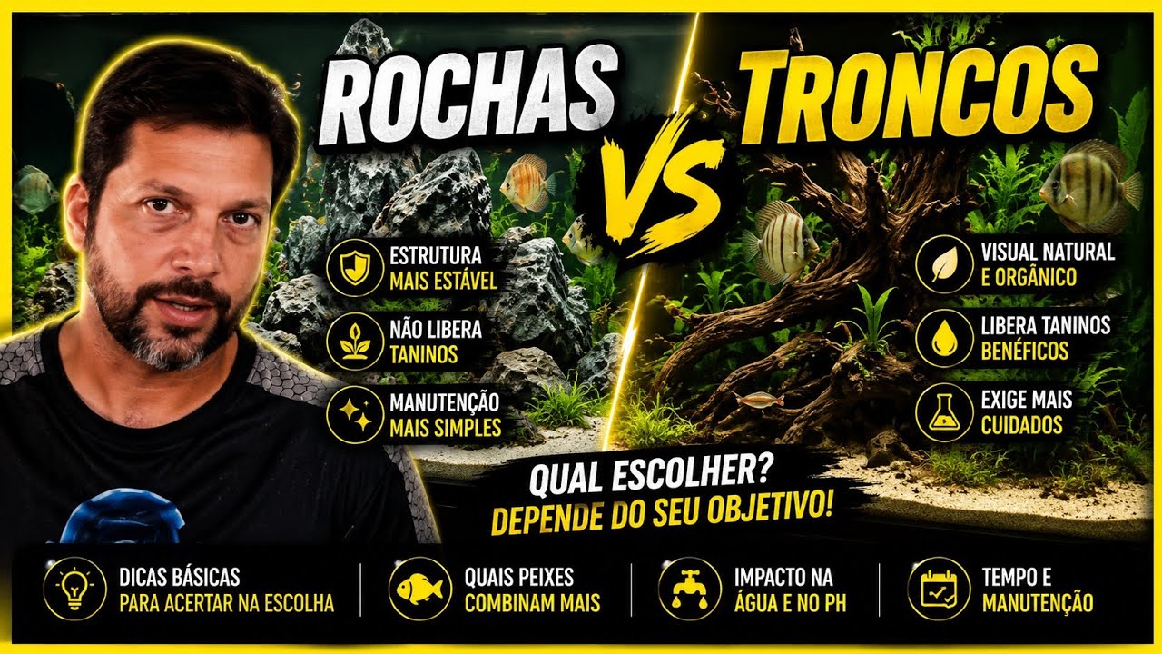 Rochas VS Troncos em AQUÁRIOS com DICAS básicas