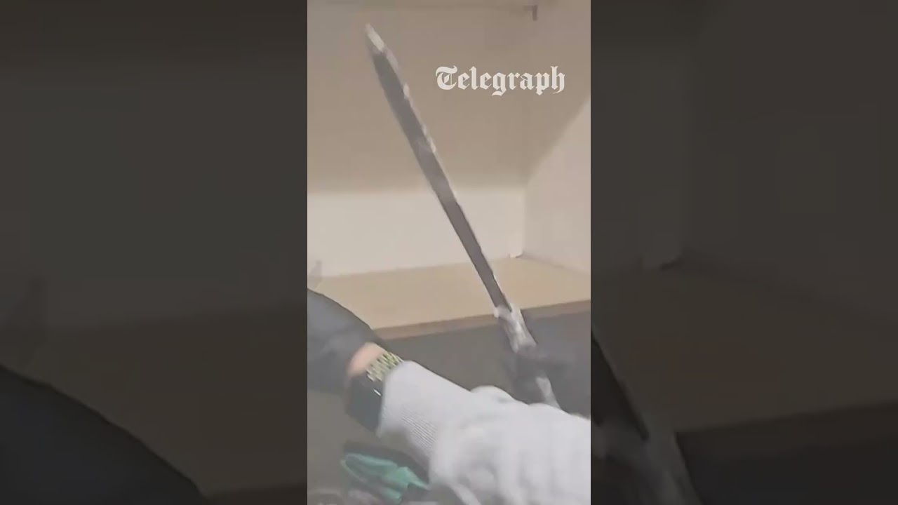 Neo-Nazi terror group members arrested in raid